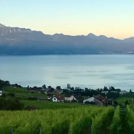 2 Pieces Vue Lutry, Lausanne Avec Grande Terrasse Lutry