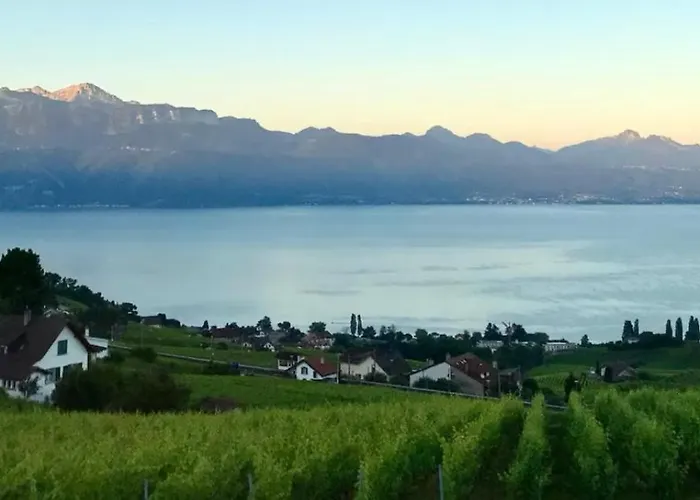 2 Pieces Vue Lutry, Lausanne Avec Grande Terrasse Lutry