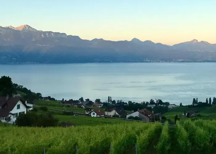 2 Pieces Vue Lutry, Lausanne Avec Grande Terrasse 吕特里